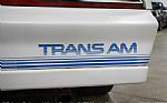 1984 Firebird Trans Am Thumbnail 41