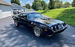 1979 Pontiac Trans AM