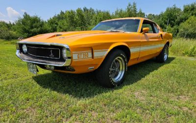 Photo of a 1969 Ford Shelby GT350 for sale