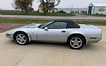 1996 Corvette Thumbnail 4