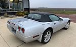 1996 Corvette Thumbnail 7