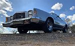 1979 Ranchero Thumbnail 81