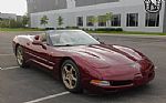 2003 Corvette Thumbnail 7