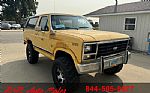 1984 Ford Bronco 4WD