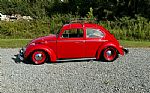 1963 Beetle Thumbnail 11