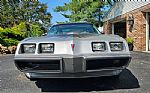 1979 Firebird Thumbnail 5