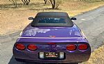 1998 Corvette Thumbnail 4