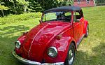 1970 Beetle Thumbnail 2