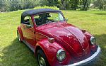 1970 Beetle Thumbnail 4