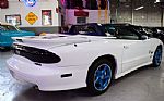 1999 Trans Am WS6 Convertible 30th Thumbnail 11