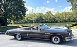 1975 LeSabre Convertible Thumbnail 64