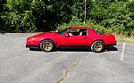 1984 Firebird Trans Am Thumbnail 5