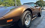 1979 Corvette Thumbnail 6