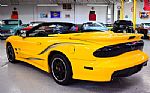 2002 Trans Am WS6 Convertible Colle Thumbnail 17