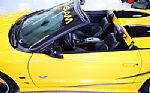 2002 Trans Am WS6 Convertible Colle Thumbnail 22