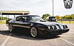 1979 Firebird Thumbnail 8