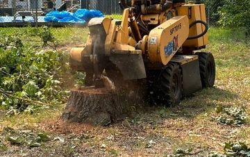 Photo of a 2006 Carlton SP7015 Stump Grinder for sale