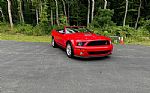 2008 Shelby GT-500 Thumbnail 1