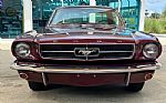 1965 Mustang Thumbnail 2