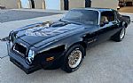 1976 Trans Am Thumbnail 1