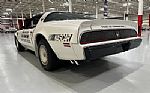 1981 Firebird Trans Am Thumbnail 4