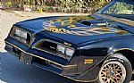 1978 Trans Am Thumbnail 8