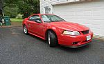 1999 Mustang Cobra Thumbnail 2