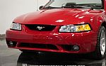 1999 Mustang SVT Cobra Convertible Thumbnail 16