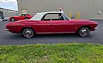 1965 Corvair Thumbnail 24