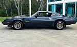 1981 Firebird Thumbnail 11