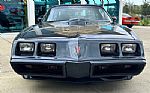 1981 Trans Am Thumbnail 2