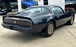 1981 Trans Am Thumbnail 5