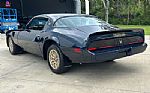 1981 Trans Am Thumbnail 10