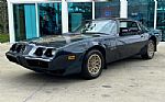 1981 Trans Am Thumbnail 12