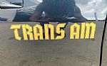 1981 Trans Am Thumbnail 15