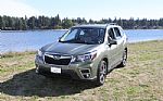 2020 Forester Thumbnail 7