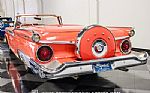 1959 Fairlane 500 Galaxie Skyliner Thumbnail 10