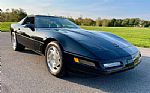 1995 Corvette Thumbnail 11