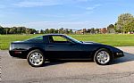 1995 Corvette Thumbnail 12