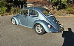 1966 Beetle Thumbnail 8