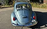 1966 Beetle Thumbnail 5