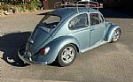 1966 Beetle Thumbnail 11