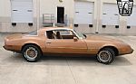 1979 Firebird Thumbnail 5