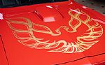 1978 Trans Am - Built 455, PS, PB, Thumbnail 25