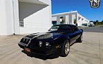 1981 Trans Am Thumbnail 4