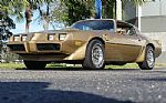 1979 Trans Am WS6 with T-Tops Thumbnail 10