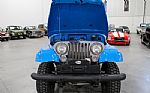 1978 CJ-5 Thumbnail 54