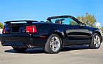 2003 Mustang GT Thumbnail 8