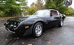 1981 Firebird Thumbnail 2