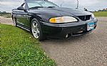 1998 SVT Cobra Thumbnail 4